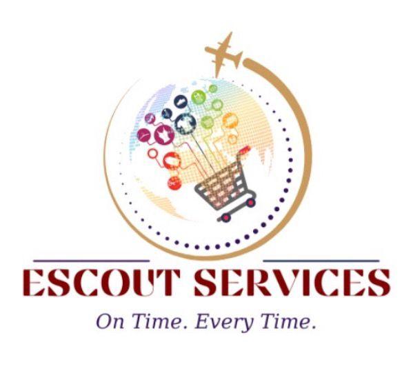 Escout International Shipping Service for NRIs from India | Send Parcels Worldwide (USA, UK, UAE & More) - Featured Service